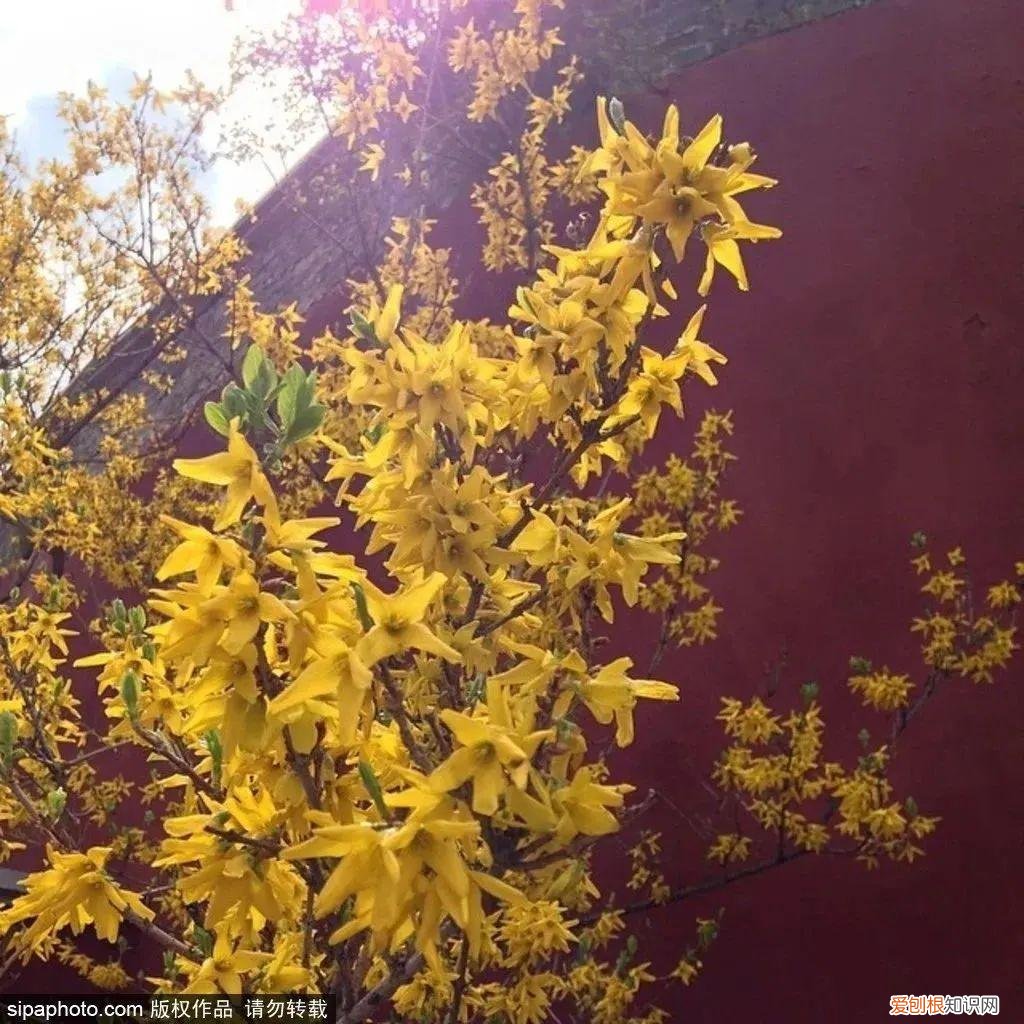 北京旅游景点介绍