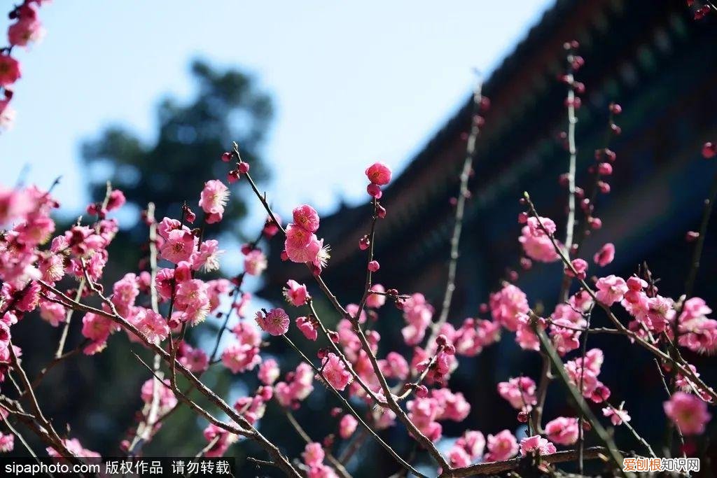 北京旅游景点介绍