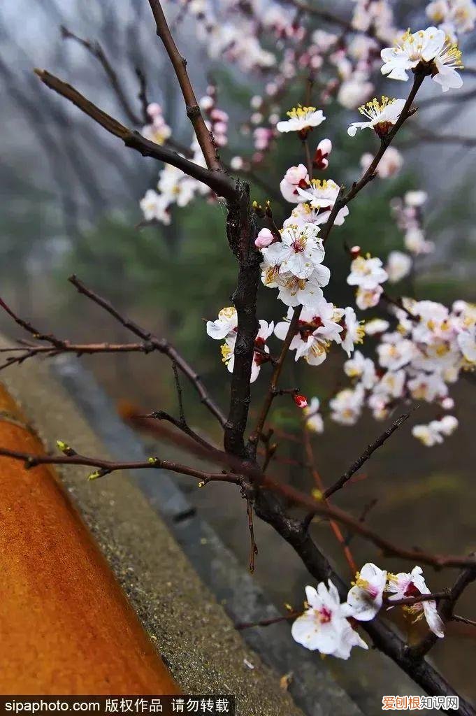 北京旅游景点介绍