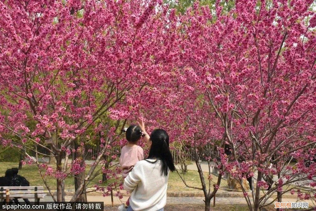 北京旅游景点介绍