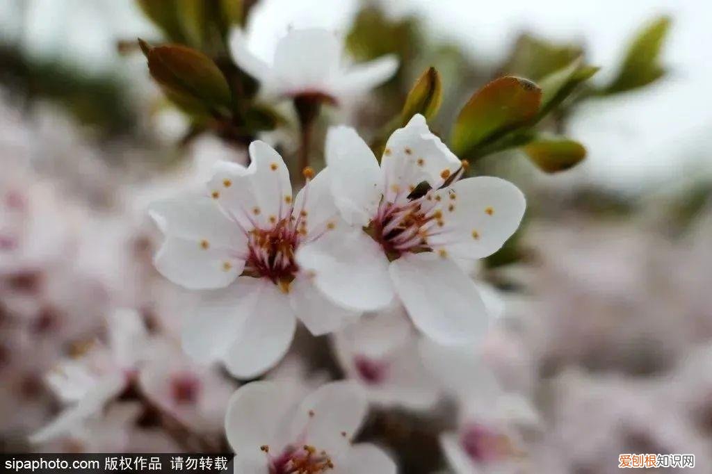 北京旅游景点介绍