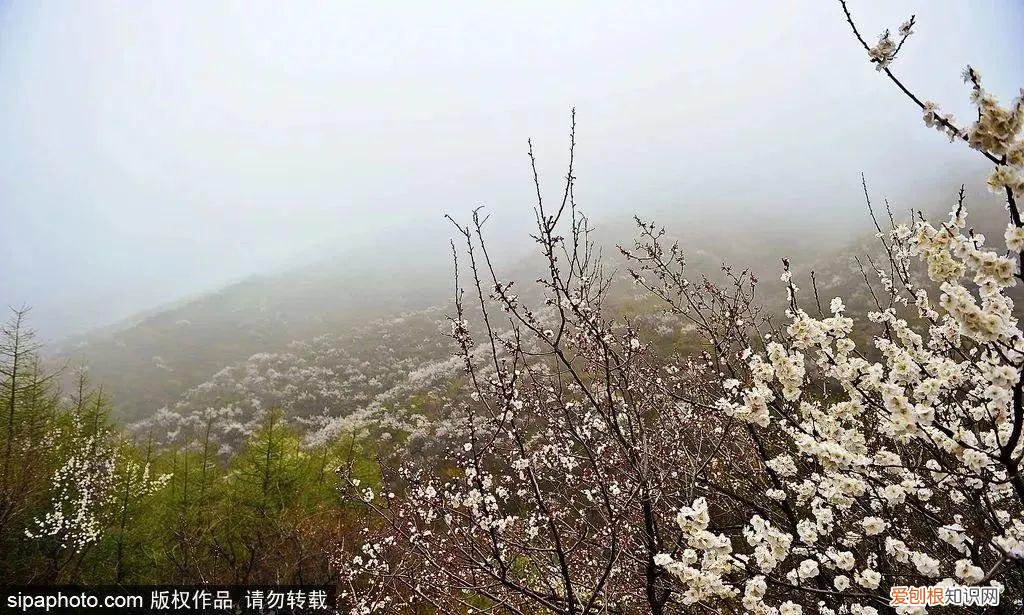 北京旅游景点介绍