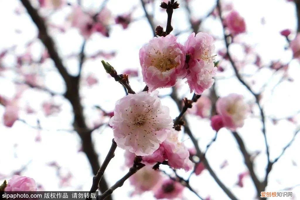 北京旅游景点介绍