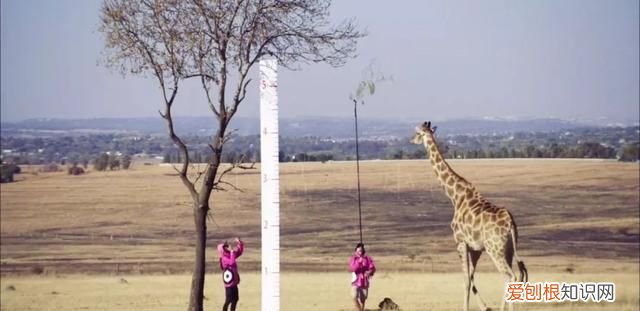 中二科普纪录片 有哪些好看的科普纪录片