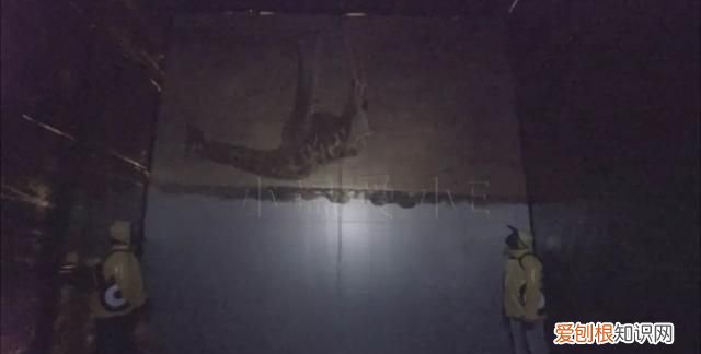 中二科普纪录片 有哪些好看的科普纪录片