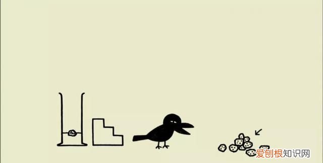 中二科普纪录片 有哪些好看的科普纪录片