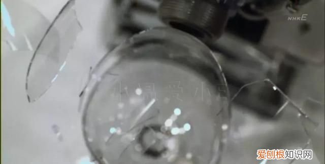 中二科普纪录片 有哪些好看的科普纪录片