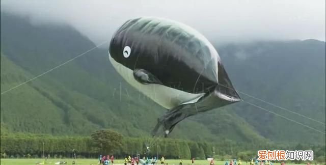 中二科普纪录片 有哪些好看的科普纪录片