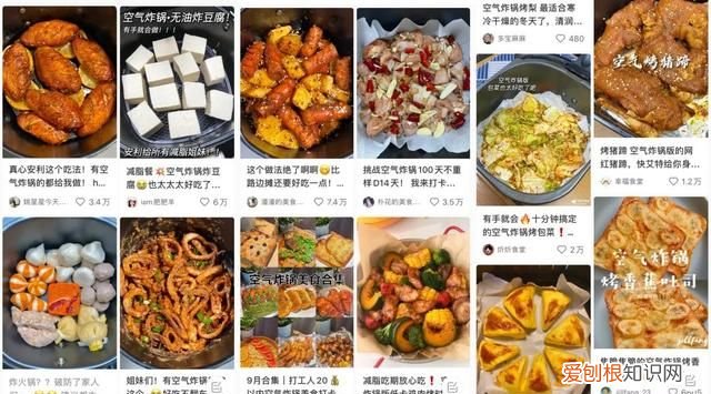 空气炸锅真的可以无油炸吗 无油烹饪的空气炸锅真的致癌吗