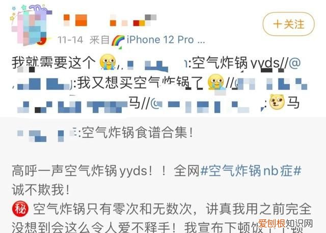 空气炸锅真的可以无油炸吗 无油烹饪的空气炸锅真的致癌吗