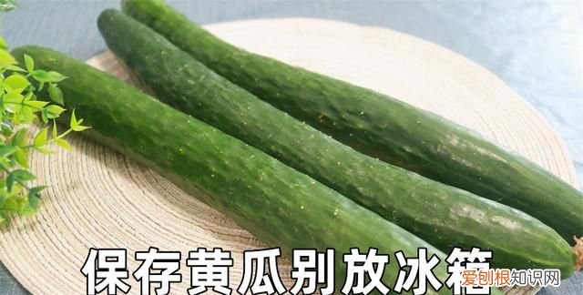 保存黄瓜不用放冰箱教你土办法