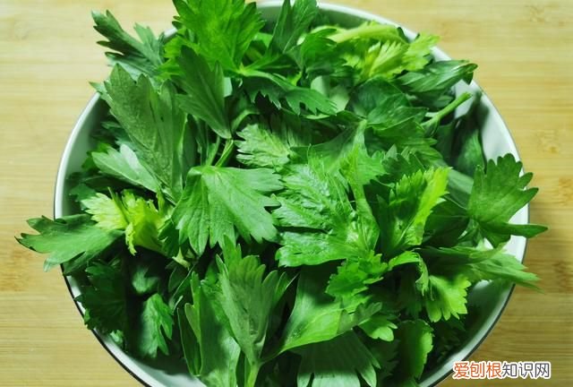 有一种叶子和根可以炒肉吃