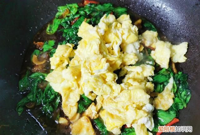 有一种叶子和根可以炒肉吃