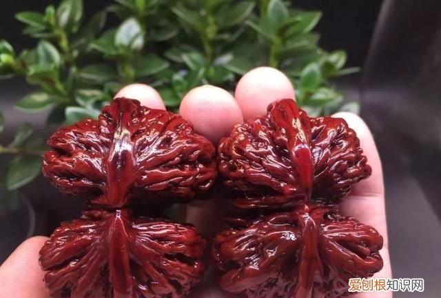 文玩核桃用什么东西才能快速包浆