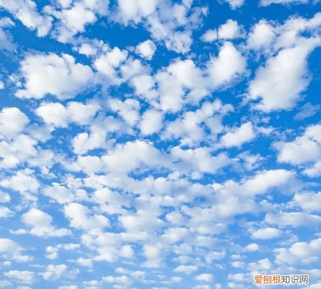 关于观云识天的图片 观云识天表情图解