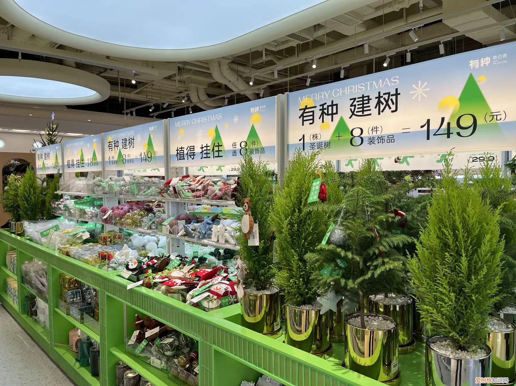 广州宠物市场在哪里?