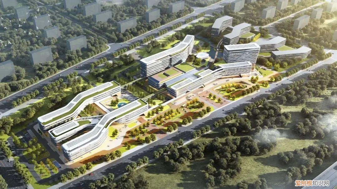 2166数字代表什么意思