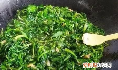 荠菜的做法大全，荠菜的家常做法怎么做