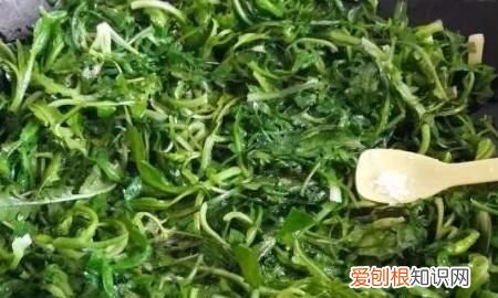荠菜的做法大全，荠菜的家常做法怎么做
