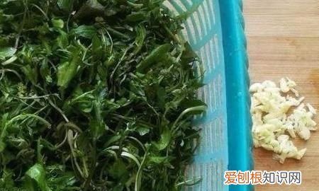 荠菜的做法大全，荠菜的家常做法怎么做