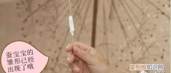 蚕宝宝的手工头饰怎么做