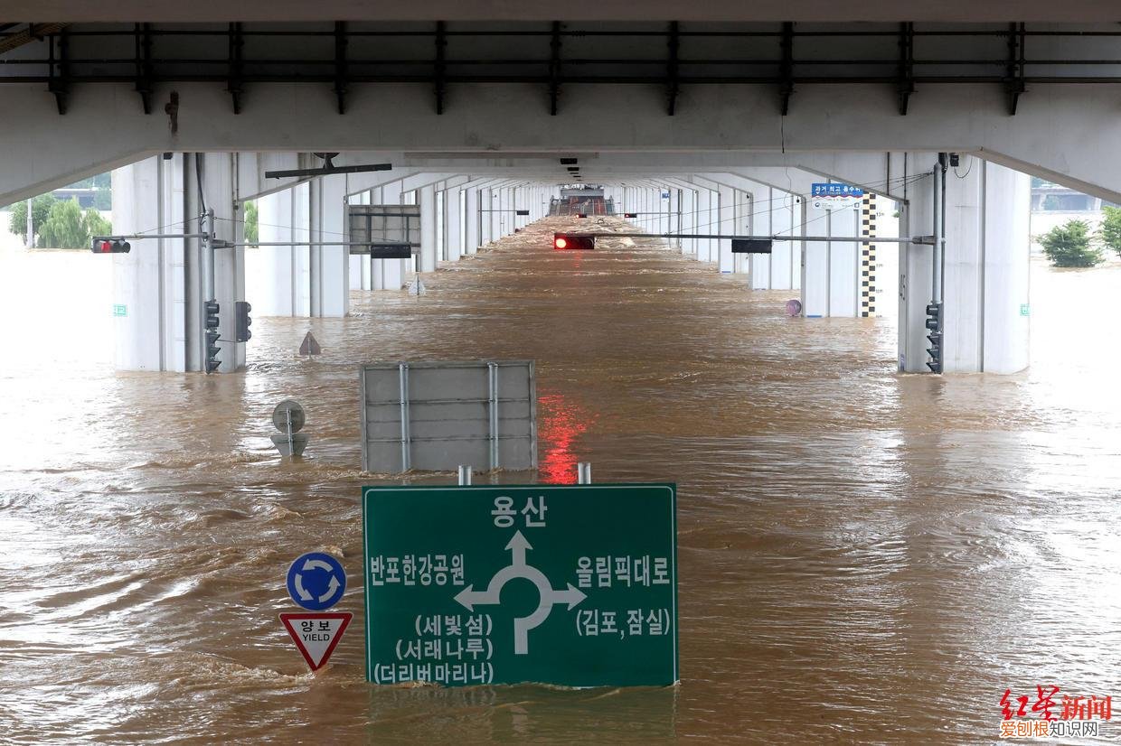 gangnam是什么意思