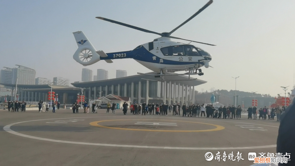 酷毙了什么意思