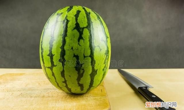 嫁接西瓜砧木用葫芦好还是南瓜好