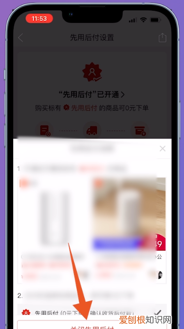 怎么关闭拼多多先用后付设置