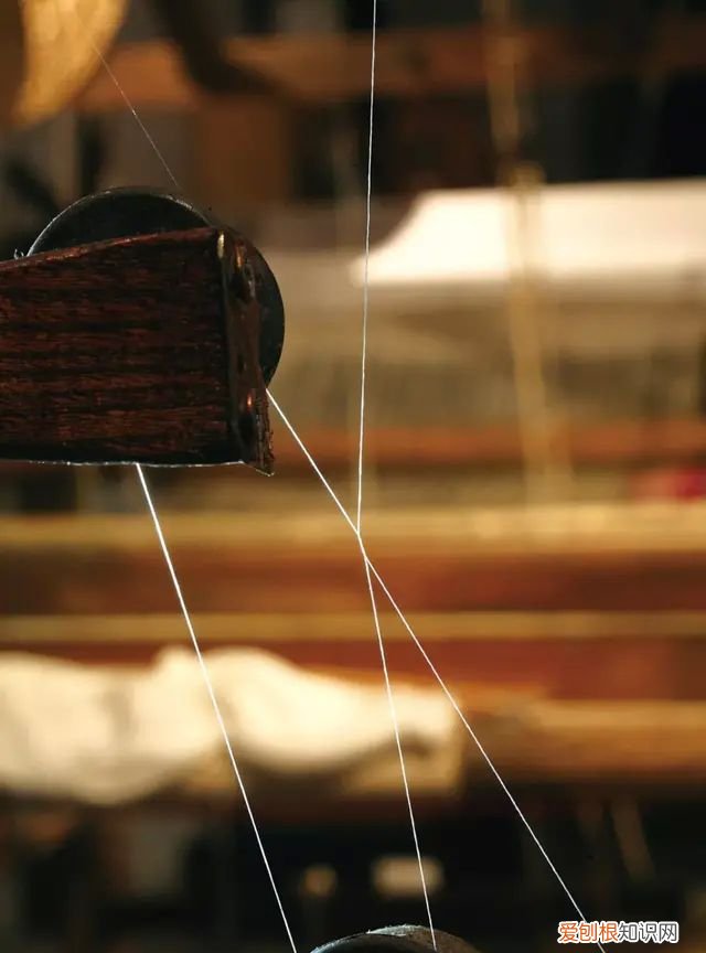 山蚕蛾的功效与作用