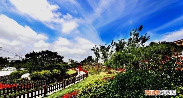 山蚕蛾的功效与作用