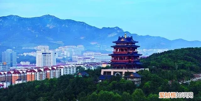 山蚕蛾的功效与作用