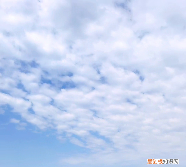 运输过程中樱桃的保质期是多久