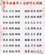 舞者果果真名叫什么，果果小名的寓意是什么