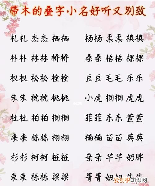 舞者果果真名叫什么，果果小名的寓意是什么