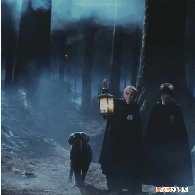 德哈文车级长的惩罚fanfiction