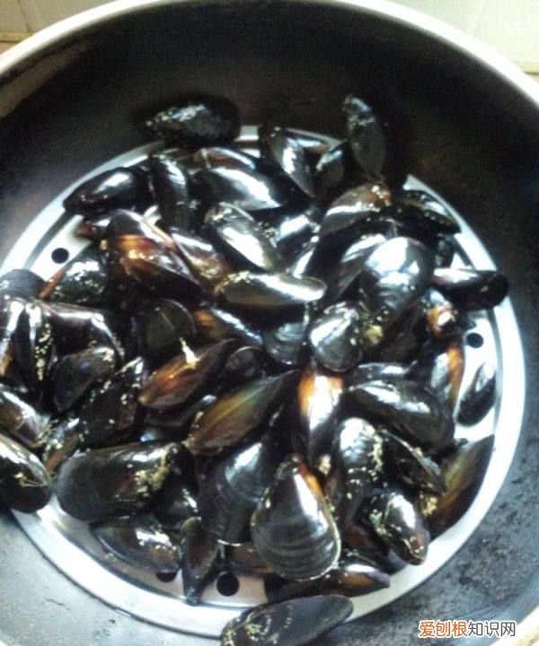 淡菜蒸几分钟,新鲜淡菜一般煮几分钟