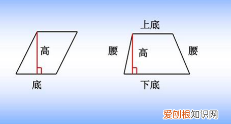 梯形有几条高，梯形有几条高这些高都是什么