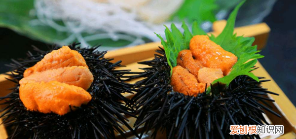 海胆冻了一夜还能吃吗，海胆黏糊糊的有拉丝还能吃