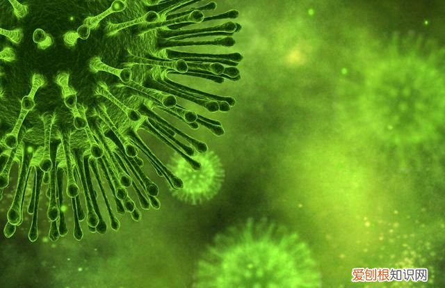 卫生纸与卫生巾的区别