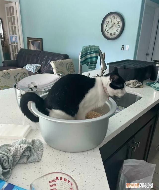 饺子蒸着吃怎么做