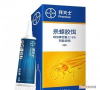 为什么你买了各种蟑螂药,家里的蟑螂依旧很多呢