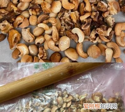怎样在家中自制布朗尼芝士蛋糕,布朗尼芝士蛋糕制作方法