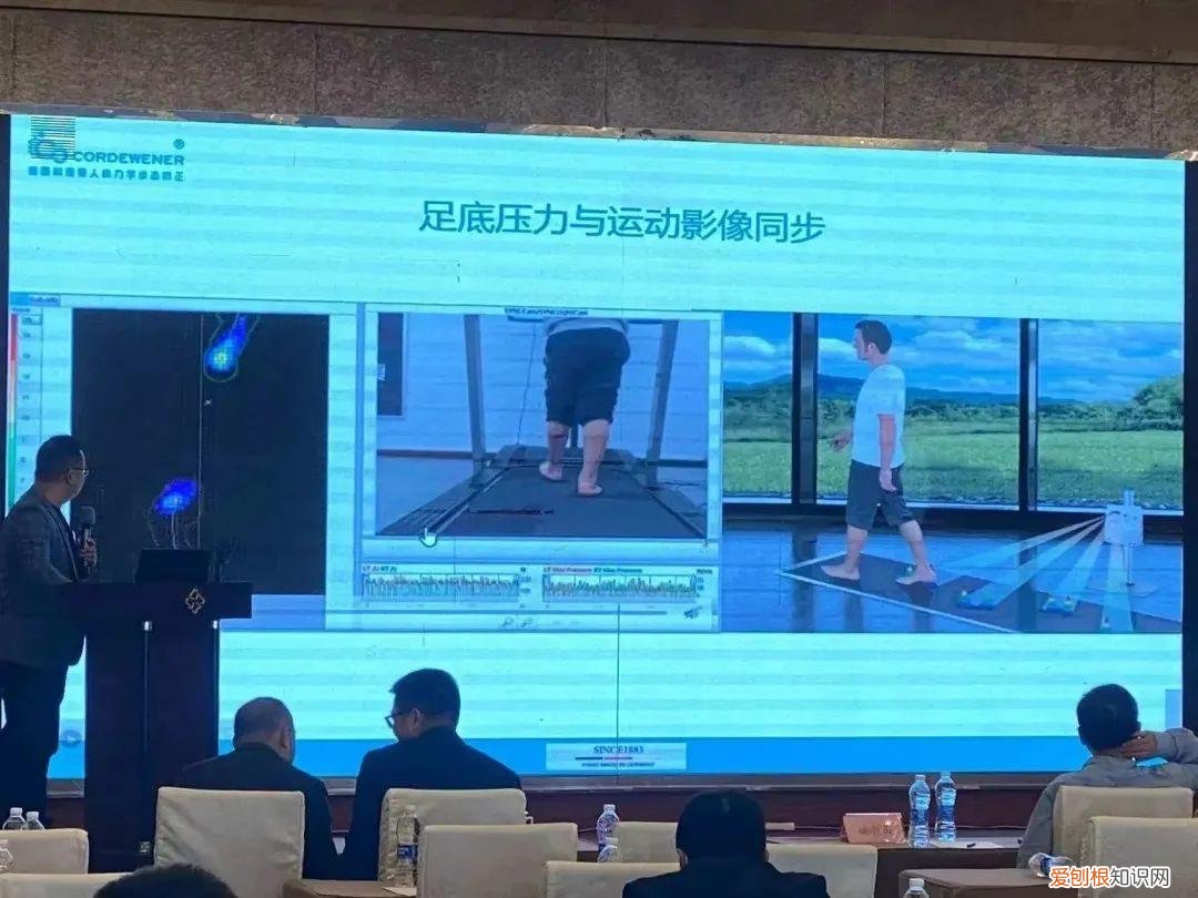 中国十大经颅磁刺激仪品牌