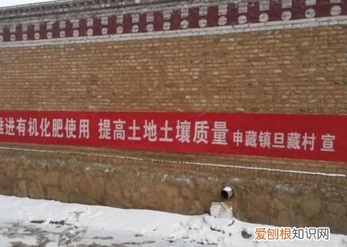 春耕行动宣传语，玉米春耕生产标语宣传语