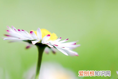 人生处处是风景下一句,人生一路皆风景下一句?