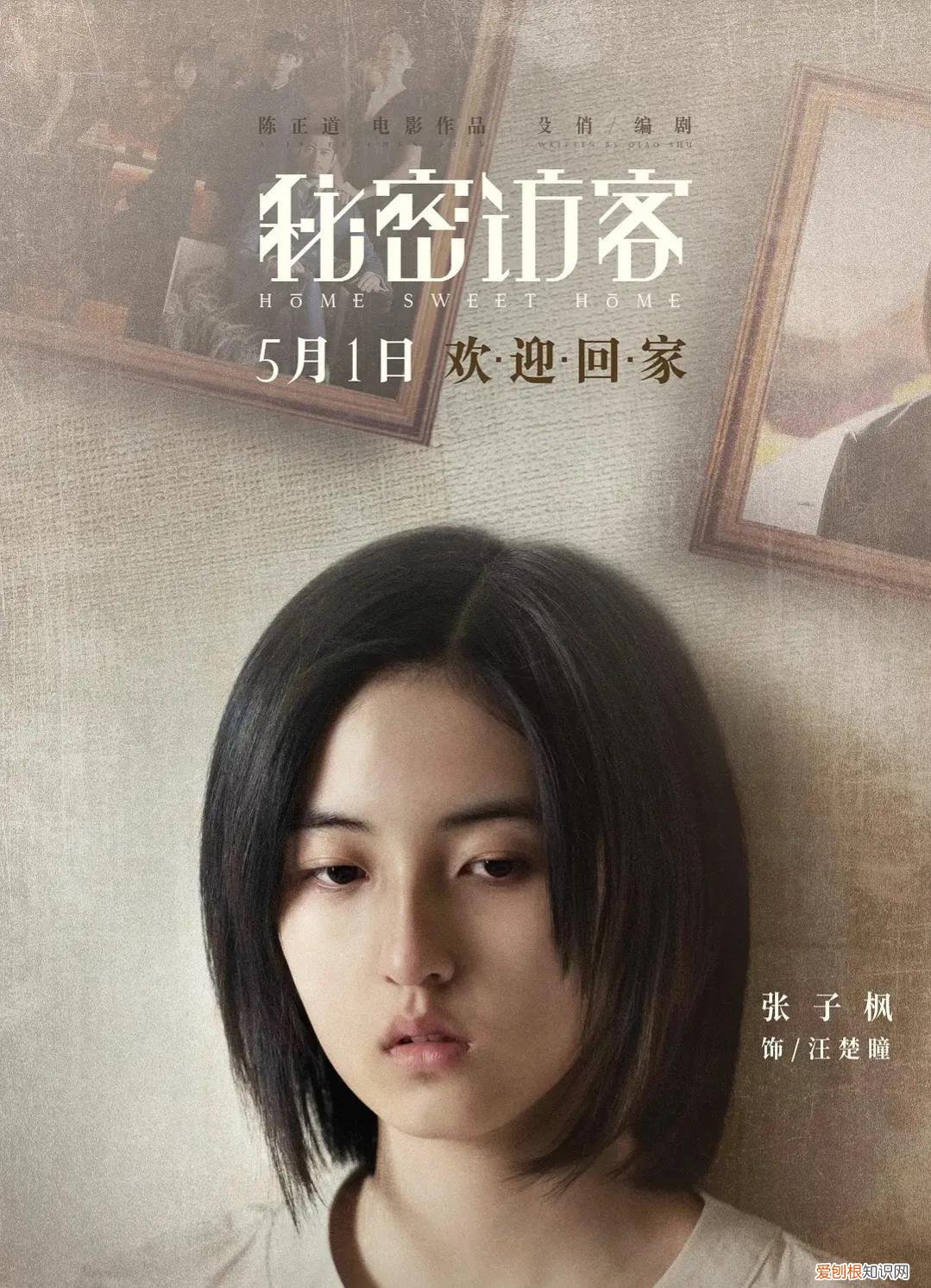 秘密访客豆瓣