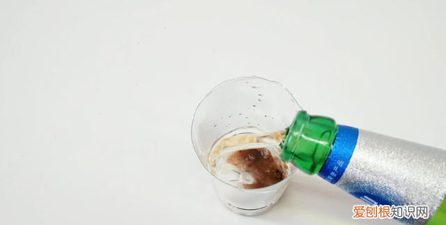家里蚊子多怎么办教你自制驱蚊水