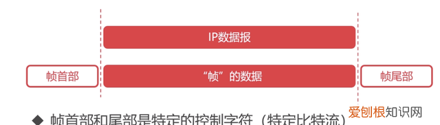 计算机网络知识点整理图示