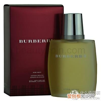 burberry brit